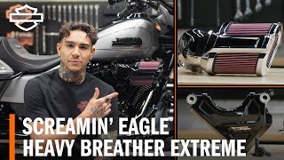 HarleyDavidson Screamin’ Eagle Heavy Breather Extreme Air Cleaner Overview [upl. by Davon]