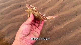 百蟹缸🦀第一天 百蟹缸第一天开缸赶海发现神秘生物超长合集 [upl. by Maxy]