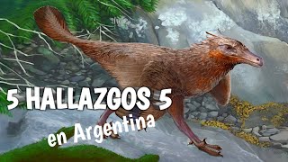 🥰 Cocodriloszorro dinosaurios emplumados y perros de transporte FÓSILES DE LA ARGENTINA 🇦🇷 [upl. by Hamas]