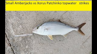 Zabava sa felunima na Patchinka CampR  Small Amberjacks vs Xorus Patchinko live strikes [upl. by Ysdnyl]