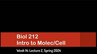 CSULB Spring 2024 Biol 212  Week 14 Lecture 2 [upl. by Cornall]