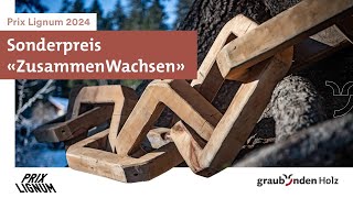 Prix Lignum 2024 Sonderpreis Graubünden Holz [upl. by Jayne583]