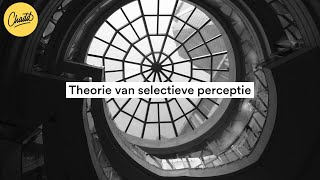 Theorie van selectieve perceptie  Mr Chadd Academy [upl. by Sari]