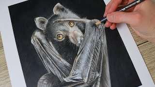 How to Draw a BAT with Color Pencils [upl. by Midge]