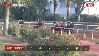 Live Hippodrome « CASABLANCA »  Courses du «16092024 » [upl. by Latta]