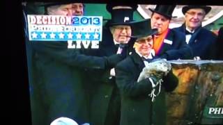 Groundhog Day 2013 VIDEO Punxsutawney Phil Makes Prediction [upl. by Mufi]