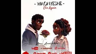 Elis Again WAONYESHE lyrics [upl. by Elatia]