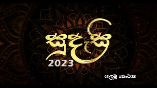 සුදැසි 2023  Concert of the Primary section  Newstead Girls College  Part 1 [upl. by Aela]