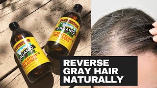 Reverse Your Grey Hair Naturally With Blackstrap Molasses [upl. by Adok]