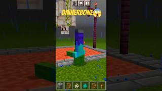 Dinnerbone name tag 🔖  Upside down 👆🔄👇 minecraft [upl. by Ecal]