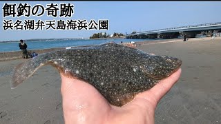 【浜名湖釣り】🎣弁天島海浜公園で奇跡のカレイが釣れました🐟ちなみに次回動画はここで【キス先生】爆釣回です🤭 [upl. by Salomi340]