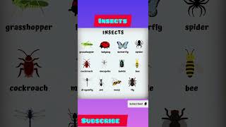 insects  insects name in english  shorts short ytshorts learning [upl. by Dahaf70]