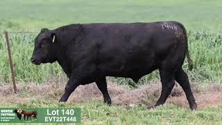 Lot 140 EVT22T448 Peakes Bowen 2024 [upl. by Dnanidref]