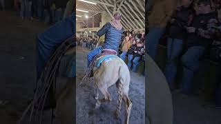 Horse auction at Legacy Livestock Auction LLC in Thurmont Md [upl. by Aisya35]