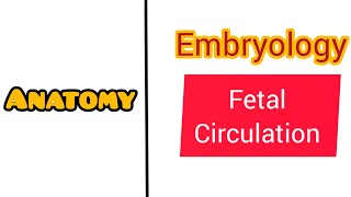 Fetal circulation  Anatomy  Physiology OG MBBS [upl. by Greyso749]