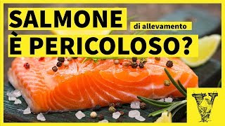 Salmone dallevamento possiamo mangiarlo [upl. by Holofernes680]