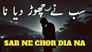 Sub Ne Chor diya na  best quotes collection  shabbir ahmed [upl. by Ri738]