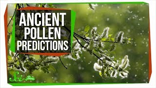 How Ancient Pollen Can Predict The Future [upl. by Airtemed411]