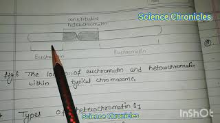 Euchromatin and heterochromatin hpu msc botany [upl. by Enalda376]