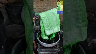 Parrot green tissue linen dye process tissuesarees greensaree green silvertissue ytshorts [upl. by Finley]