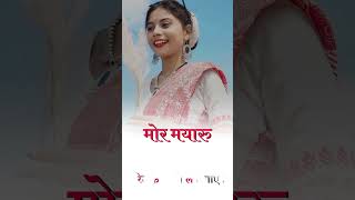 Gori phool kaina CG love status video song surujkejatichandakebaticgsong love melodiousvoice [upl. by Trebla]