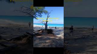 Bimini cruise bimini bahamas youtubeshorts youtube shortsvideo shortsfeed shorts jamaican [upl. by Sharla]