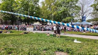 Maibaum aufstellen in Emmering mit kleinen Hindernissen 1Mai 2024 in 4K [upl. by Emmalynn876]