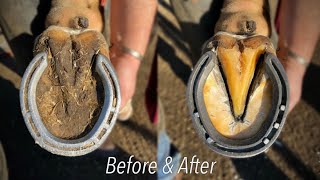 Satisfying  HOOF RESTORATION [upl. by Hertberg]