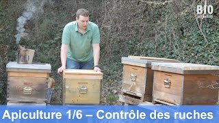 L’apiculture bio au cours de l’année – Contrôle des ruches partie 16 [upl. by Avirt]