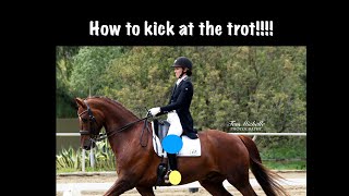 How do you kick a horse in trot [upl. by Lindgren]