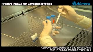 Prepare hESCs for Cryopreservation [upl. by Eiram]