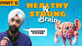 Auditory Sensory System  Effects on special Children  Healthy and Strong Brain  Dr R S Bagga [upl. by Novoj]