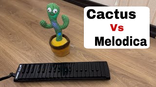 Talking Cactus With Melodica [upl. by Atteiram806]