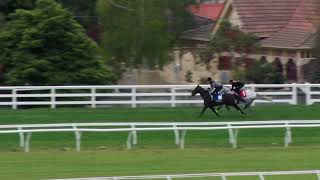 17 Sep Gallops Gallop 5 [upl. by Shaya]