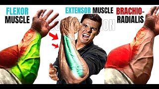 15 BEST Forearms workout at gym  Flexor  Extensor  Brachioradialis Muscle [upl. by Chiquia]