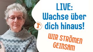 Live Wachse über dich hinaus Jin Shin Jyutsu für Entspannung am Abend [upl. by Darwin243]