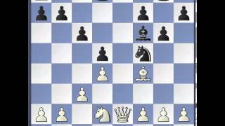 Schach WM 2013 Partie 8  Analyse [upl. by Zachar696]