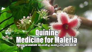 അബദ്ധത്തിൽ സംഭവിച്ച കണ്ടുപിടുത്തങ്ങൾ Episode1 Quinine  Medicine  Maleria  Inventions trending [upl. by Gaylord]