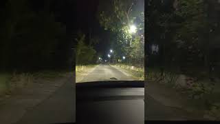 Riview Pemakaian Lampu High Lamp Philips Ultinon Pro9000 LED HL H4 di Jalan Kampung [upl. by Assiluy]