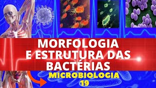 MORFOLOGIA E ESTRUTURA DAS BACTÃ‰RIAS  COLORAÃ‡ÃƒO DE GRAM  MICROBIOLOGIA [upl. by Atinniuq]