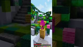 The BEST PLAYER in MINECRAFT BED WARS minecraft bedwars bestplayer [upl. by Eicart]