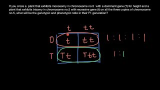 Trisomy and monopsony inheritance explained [upl. by Katharyn]