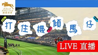 【知舍直擊】 20240918 跑馬地8場賽事聲音導航 競聯知舍內部排位賽 [upl. by Zetrac]