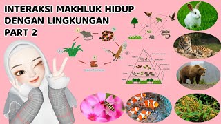 INTERAKSI MAKHLUK HIDUP DENGAN LINGKUNGAN PART 2   Rantai makanan  simbiosis  IPA kelas 7 SMP [upl. by Brebner]