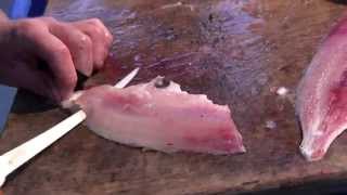 Howto fillet a Tarakihi [upl. by Ahseenat]