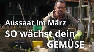 Aussaat im März  so wächst und gedeiht dein Gemüse [upl. by Haek]