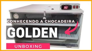 Vou te mostrar a chocadeira GOLDEN 240  Saiba o que achamos dela [upl. by Sida]