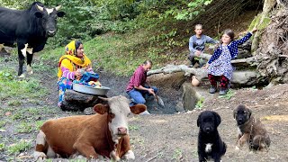 An Exciting Day with Nomads in Northern Iran  Restoring the Oldest Mountain Spring in the Forest [upl. by Dyun]