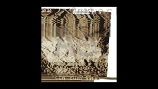 Autechre  Bronchus 2 [upl. by Dario]