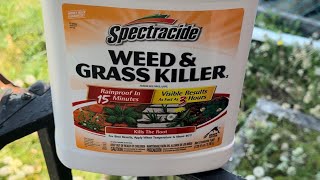 Spectracide Weed amp Grass Killer Review grass spectracide grasskiller weedandgrasskiller [upl. by Ethben]